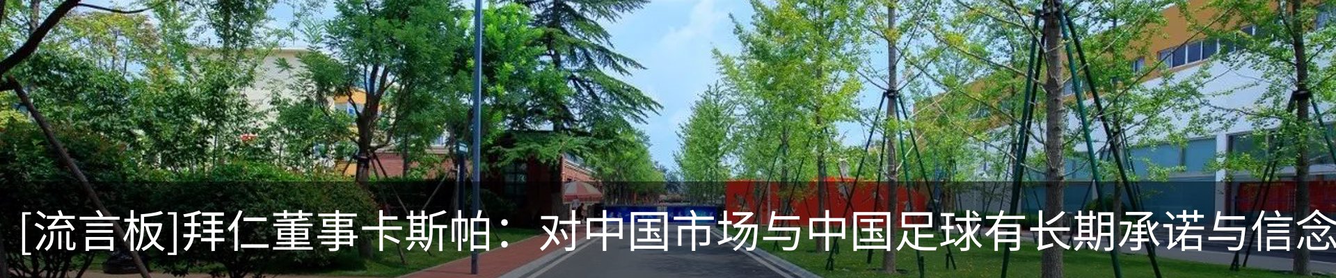 新闻动态